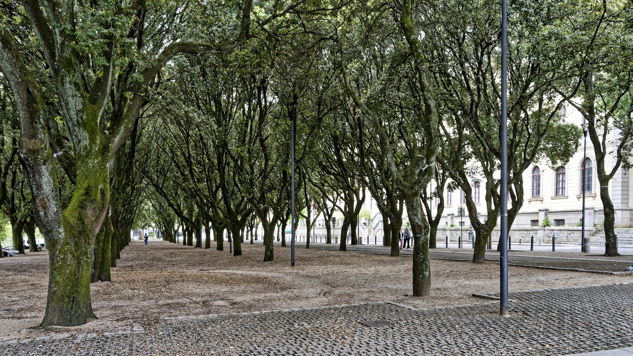 20230524 110625•Tempio Pausania•Sardinia•Italy